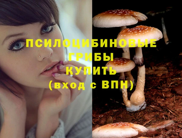 трава Баксан